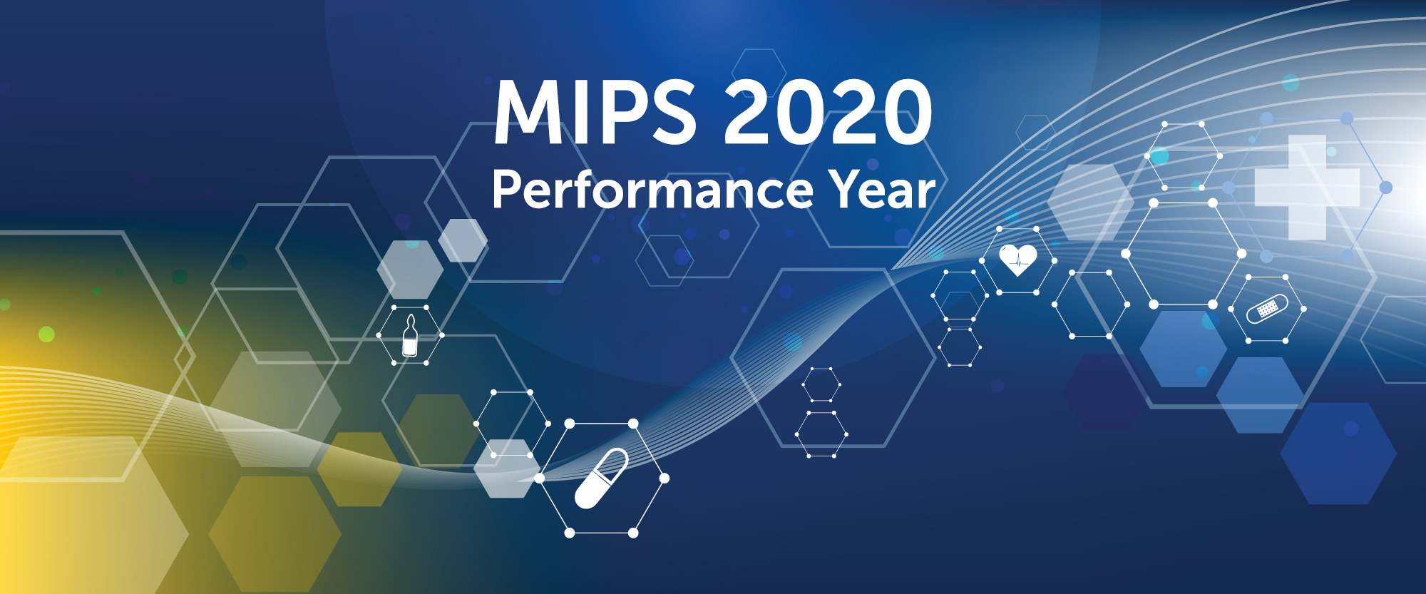 MIPS 2020