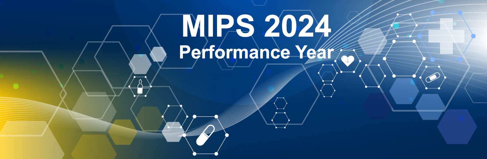 MIPS 2024